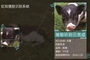 AI 养殖系统：猪群健康监测，出栏时间提前 15 天