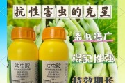 生物防治技术：瓢虫替代农药，有机蔬菜成本下降 20%