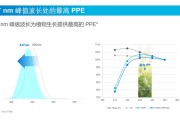 植物工厂量产：生菜生长周期缩短至 21 天，零农药零污染